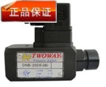 台湾台肯TWOWAY压力继电器DNB-250K-06I 全新