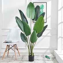 1.6�����˽������ֲ��͏d�b��҃���ش��������B�Gֲ�羳