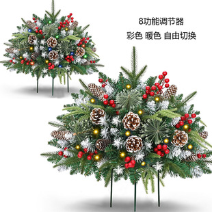 2026�¿�60���װ�A  �A����ѩֲ�qѩ����ɫͥԺ �ز�Ģ���}�Q��