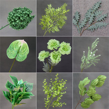 �Gɫϵ���滨�b�Y�û��đ��⻨�Gֲ��ꐲ���ɢβ��ɭϵ��c