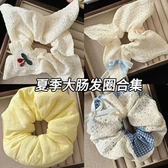 2025年新作夏の大腸ヘアリングコレクション韓国風ハイエンド多用途ガールズ大腸ヘアリングヘアロープヘアアクセサリー卸売