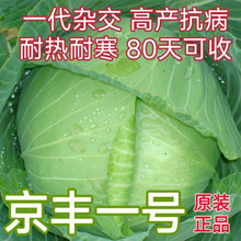 ���Sһ̖�G���{�N���͟�40�ȱ���Ĳ˷N��ɏ�����ͺ��Ұ��Ĳ˷N��