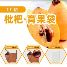 厂家批发枇杷纸袋 水果保护套袋 防鸟虫防水双层 单层枇杷套袋