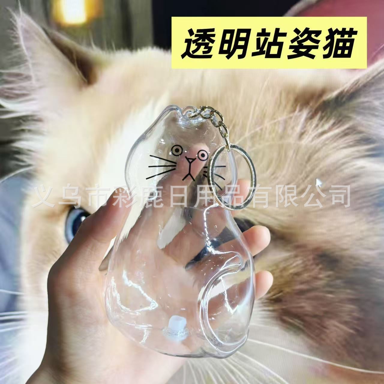 대형 투명 스탠딩 고양이 1개