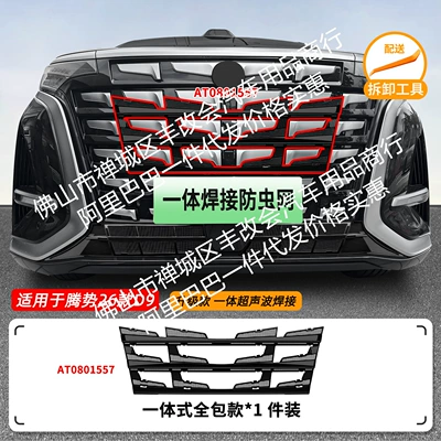 Integrated Welded Car Insect-Proof | Automobile anti-insect net - 26-models-of-denza-d9-with-insect-proof-net-one-piece-welded-and-painted-black