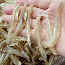 С�~�ɟo�^�~�ɰ׷��~΢�𹫸��~ˮ���y�~�ɱ����خa���r��؛250g
