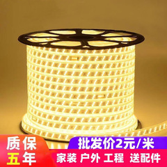 灯带led灯条 三色变光自粘220v工程特亮家用客厅灯槽吊顶户外防水