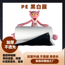 �ڰ�Ĥ�Nֲ�� �Ӻ��M�ڸ��ή�ؿ����⾀Ĥ ˮ���߲˷NֲĤ�|��