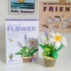 Lily Potted [Color Box Put]