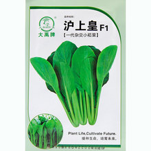 Сݿ˷N๣˷N̨ͥԺСײɲ˴＾ļ߲˷N