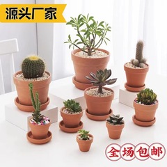 陶磁器の植木鉢の透水性の通気性の多い肉の植木鉢の室内外の緑の植木鉢のアマゾンの通用する陶土盆の卸売りは郵送します。