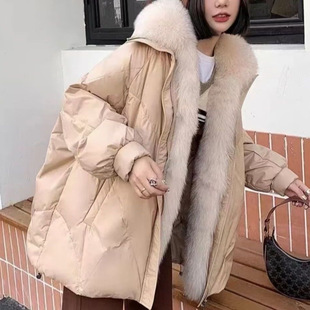 �ɲ�ж����ë�I����韰�Ƥ���Z�q��q��Ů���L��2025�������״���