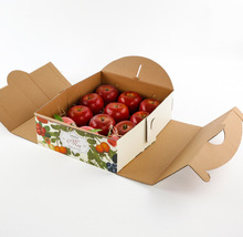 新品水果包装盒手提果蔬卡通礼盒礼品包装纸箱纸盒批发