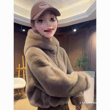 2025年冬季新款皮毛一体皮草外套女水貂毛绒加厚短款毛毛上衣