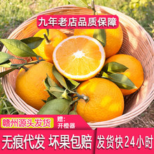 【现货】赣南脐橙5斤装大果 新鲜水果江西赣州脐橙现摘橙子批发