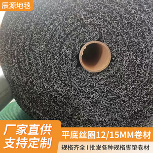 Customized Wire Loop Carpet Pvc Non-Slip Floor Mat Home Corridor Hall Door Mat Hot Melt Wire Loop Car Floor Mat Roll Material