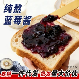 其他果酱;调味酱;蓝莓酱