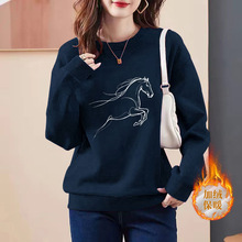 �R�걾����Ƽtɫ�ӽq�l��Ů2026�¿��ﶬ���A�I�ٴ���L������