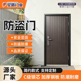 钢制防盗门进户门家用时尚轻奢单开入户庭院别墅门平开子母门