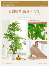 ?ֲ����������������҃ȴ��ͷ����Gֲ�[���͏d�b���