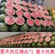 Wholesale stainless steel spoon commercial disposable watermelon spoon take-out spoon iron spoon net red watermelon dessert spoon