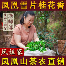 【凤姐家茶】凤凰单丛茶【雪片桂花香】潮州单枞冬茶高香乌龙茶叶