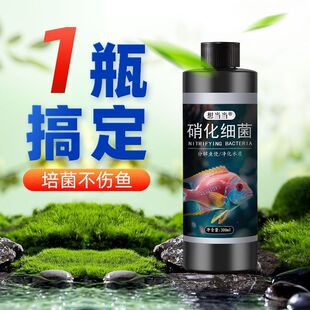 ��ˮ��ȥ���S��ˮ������Qˮȥ�ȳ����ֽ��~���ͥ�^�p�~����ˮ�|