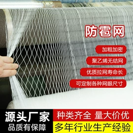 其他塑料网;防雹网;防鸟网