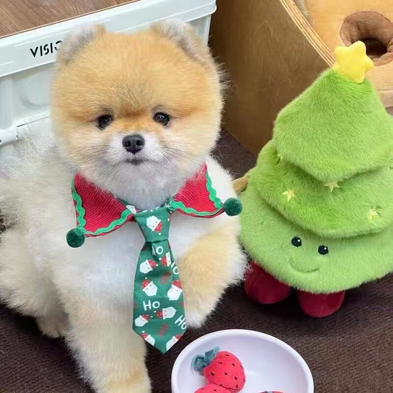 圣诞宠物领带可爱装饰绅士领带猫咪狗狗领结小型犬围巾围兜拍照|undefined