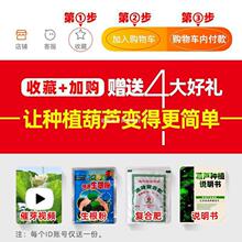 ���J��С���J�N�������������ˌ���ȫ�����^�p�ش�̖���ͺ��J�N��