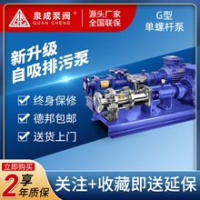 泉成 不锈钢g型螺杆泵污泥泵变频单螺杆泵压滤机专用泵容积泵