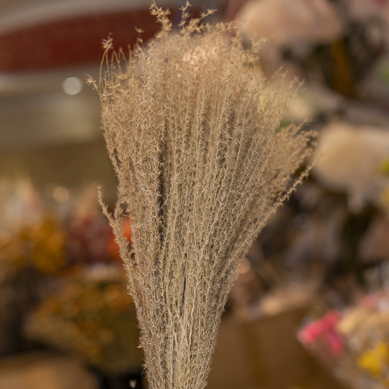 기본 색상 (10 pts/번들)