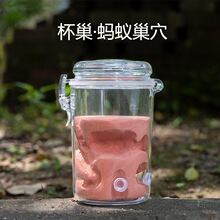 ��ʯ�ೲ����Λρ���~�ױ������նY���BСΛρρ��Λρ����