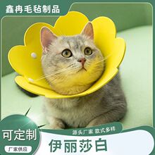 ����ɯ��Ȧë�֌����Ȧ؈���p���^���g��֏ͷ���u����{���Ȧ