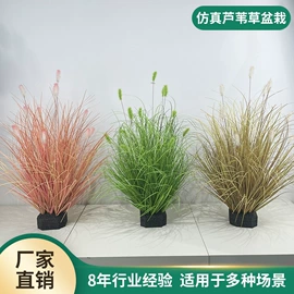 仿真绿植;仿真盆栽;仿真花