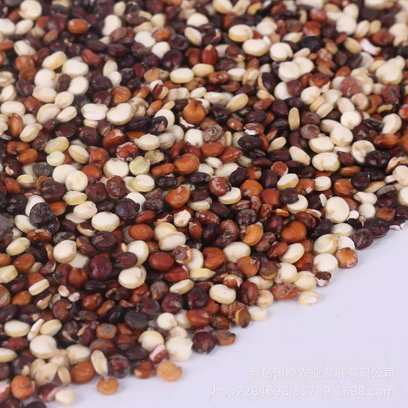 高品质三色藜麦TRICOLOR QUINOA 源头工厂藜麦生产厂家