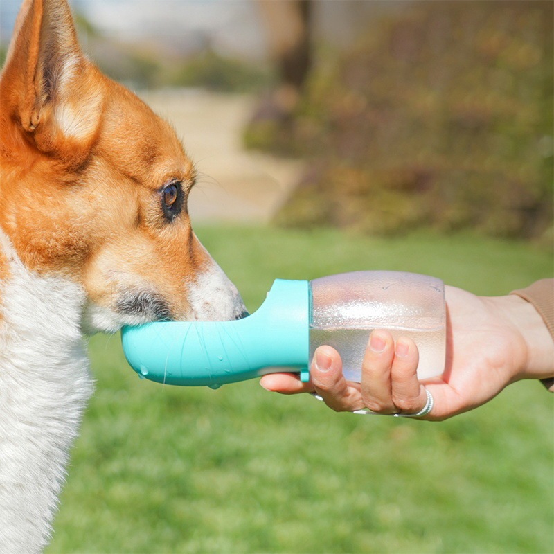ペットの水飲み器は犬の水飲みを散歩します。|undefined
