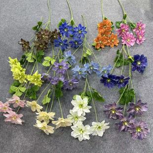 ����3D��ӡ4�^���Ļ��{��ɫĪ�λ��@�L�Ҿ��b��쾰 ��c·���廨