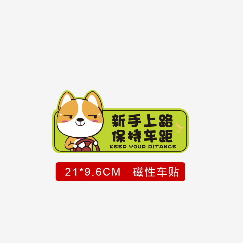 [Shiba Inu Smile] Novices keep distance between cars on the road