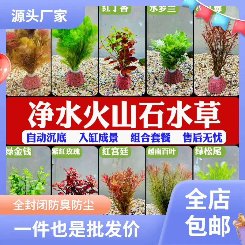 Вулканический каменный аквариум с водой действительно ландшафтная упаковка