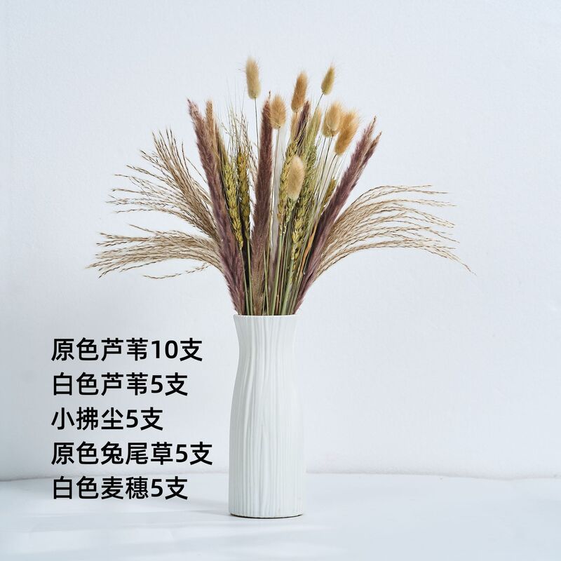 アマゾンはよく売れています。葦の花の花束です。|undefined