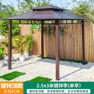 Pabellón al aire libre Villa patio hierro jardín toldo al aire libre nuevo estilo chino techo ocio granja pabellón