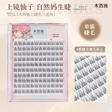 ���B�~β�ٽ�ë10���b�����ۺ��s��Ȼ���N�δؿ�ȸ�~����ľ��ʩ