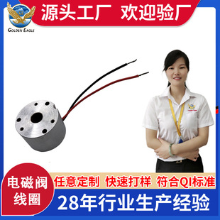 Manufacturers Custom Gold Testing Machine Coil Solenoid Valve Coil Solenoid Coil Switch Coil Take Wire Coil