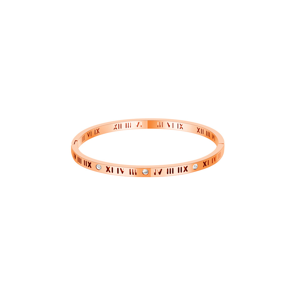 Acier Inoxydable Style Simple Chiffre Romain Placage Incruster Zircon Bracelet display picture 8