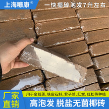 650��Ҭ�u�I�B���ЙC�B���߲˶���ֲ��sҬ�۴uҬ��������|