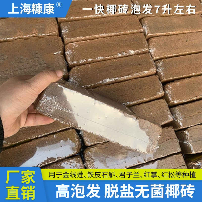 650 г кокосового кирпича, питательный почвен, органический цветок, выращивание овощей, сочных растений, сжатый кокосовый порошок, кирпич, кокосовые ветки, подложка для выращивания