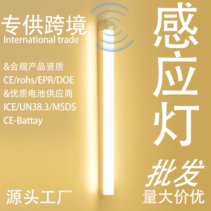 Wireless induction lamp USB charging 0 seconds induction bedroom kitchen walk volume low bright strip light foreign trade export qualification