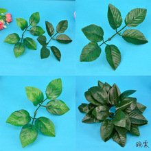 ���ֹ������~�Ӱ�߅��õ�廨���������~õ�廨�����ϴ�����֦