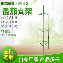 西红柿架番茄阳台种植支架黄瓜豆角爬藤架月季花植物固定架园艺